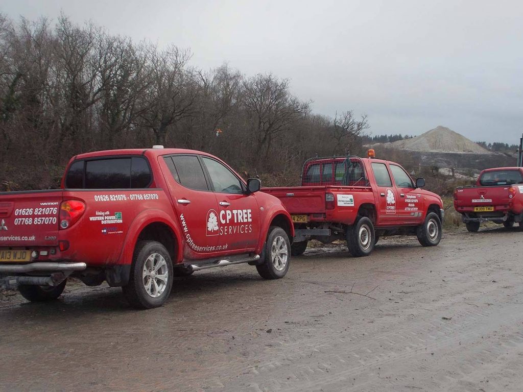 3 red cp tree services trucks in a line